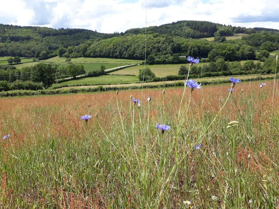 Le Studio Du Crot Noir Cussy-en-Morvan Экстерьер фото